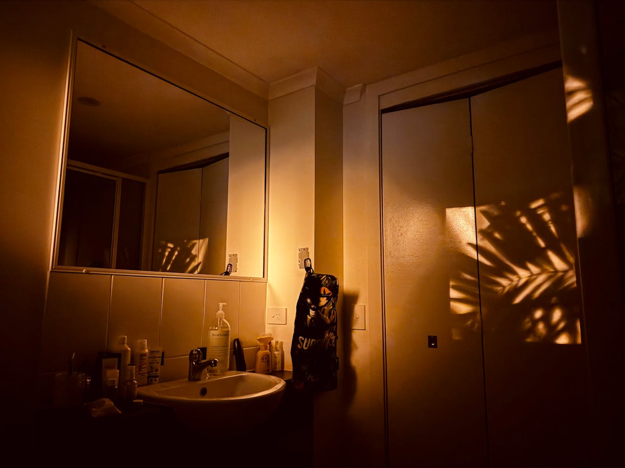 pexels photo 34823113.jpeg